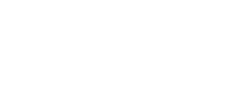Optimize Leads
